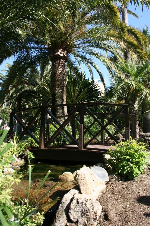 The Oasis By Don Carlos (adults Only) Hotel