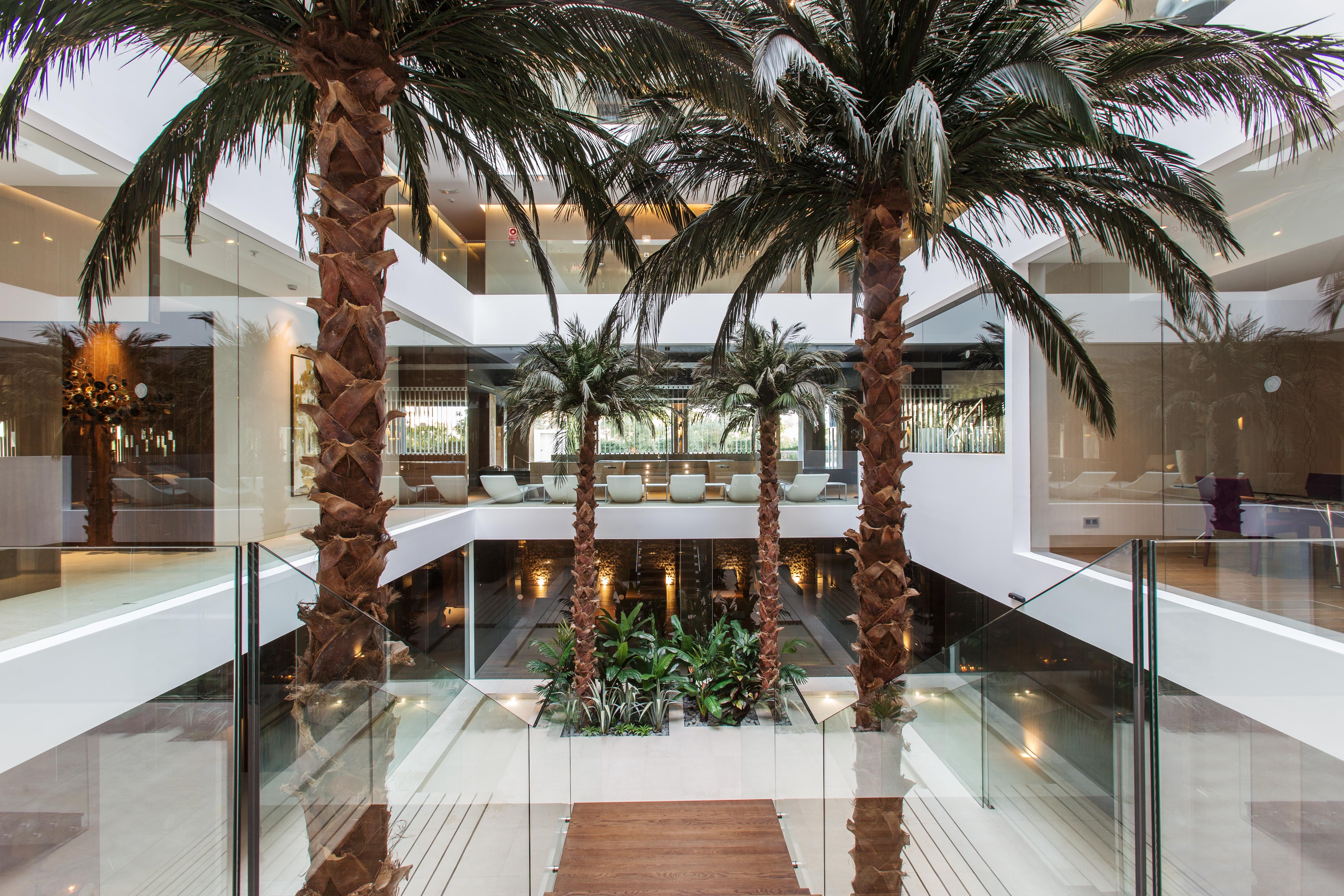 Hotel The Oasis By Don Carlos (adults Only) Marbella
