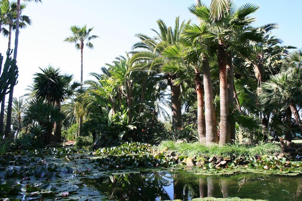 The Oasis By Don Carlos (adults Only) Hotel 5*