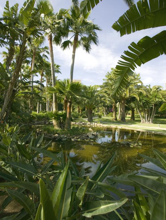Hotel The Oasis By Don Carlos (adults Only)