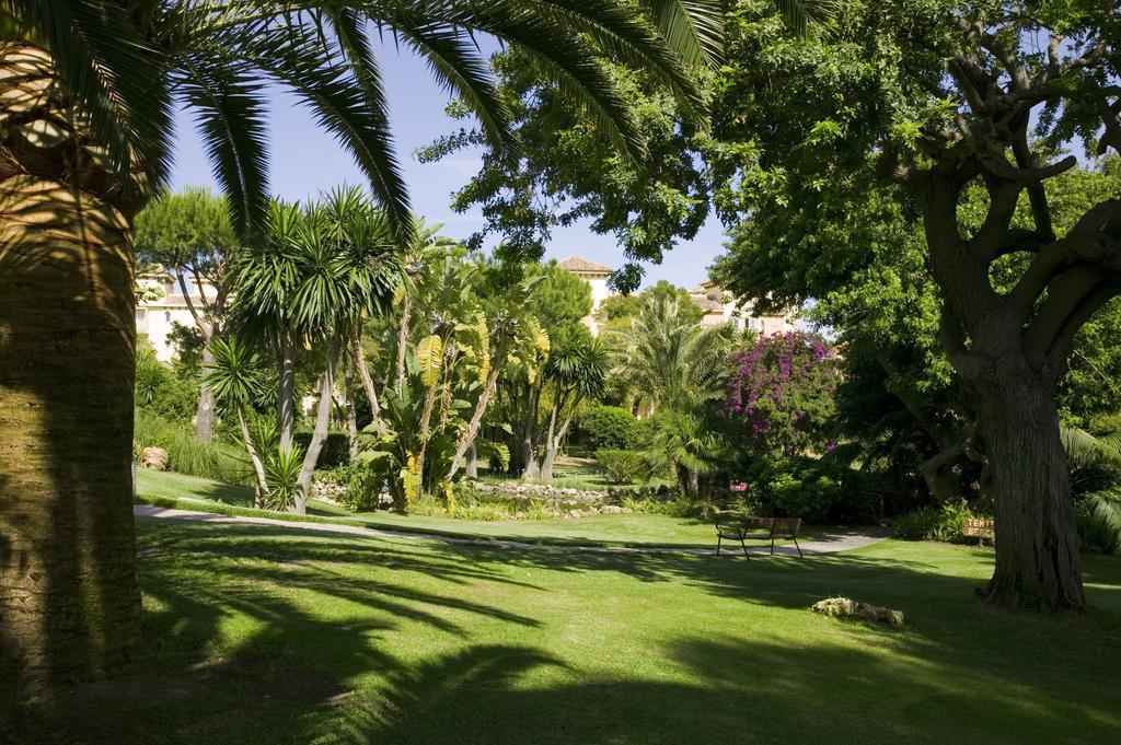The Oasis By Don Carlos (adults Only) Marbella