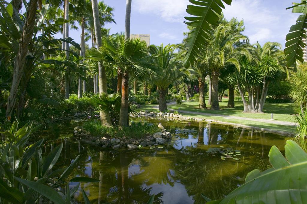 The Oasis By Don Carlos (adults Only) 5*