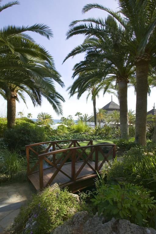 The Oasis By Don Carlos (adults Only) Hotel