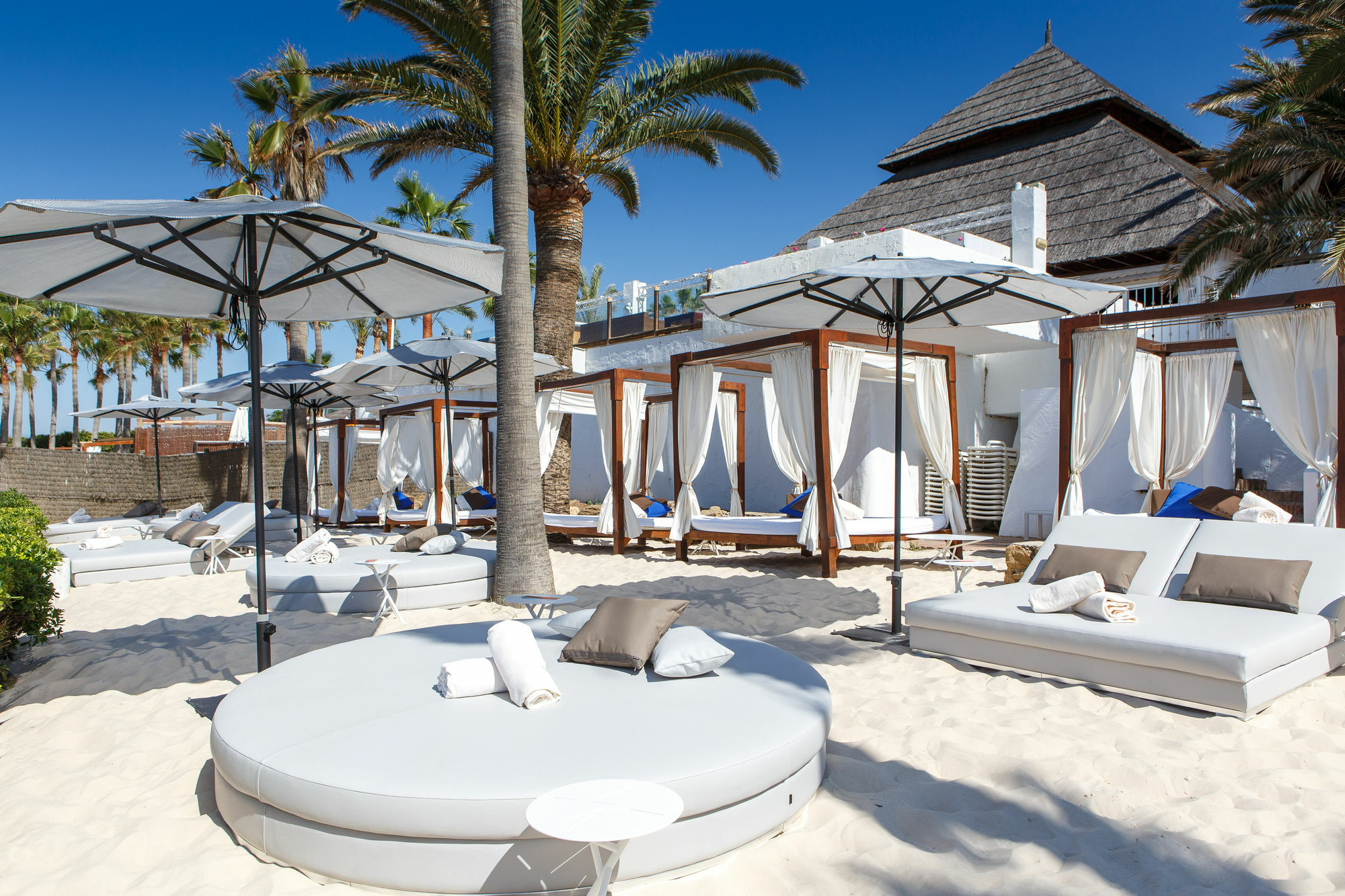 The Oasis By Don Carlos (adults Only) Hotel
