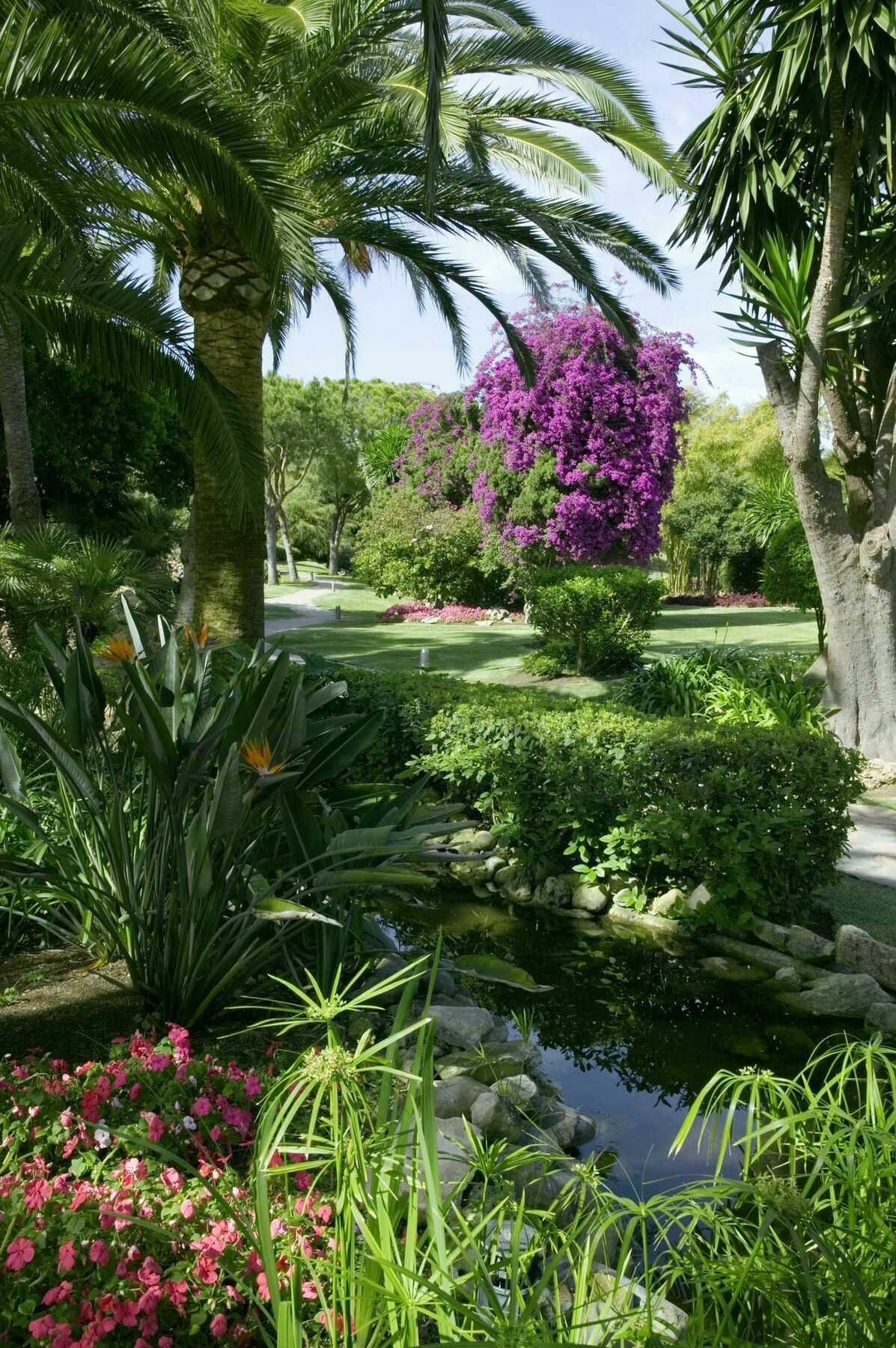 Hotel The Oasis By Don Carlos (adults Only)