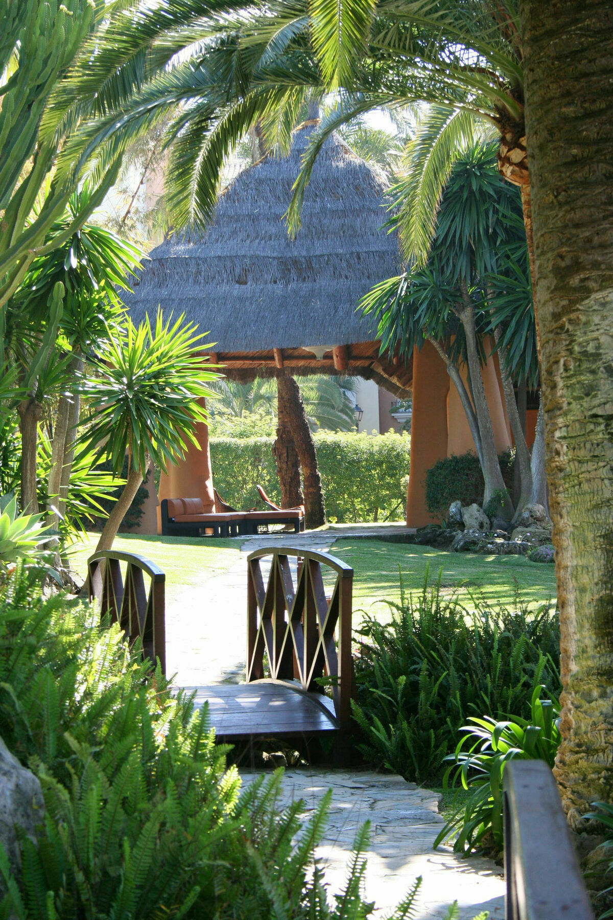 The Oasis By Don Carlos (adults Only)