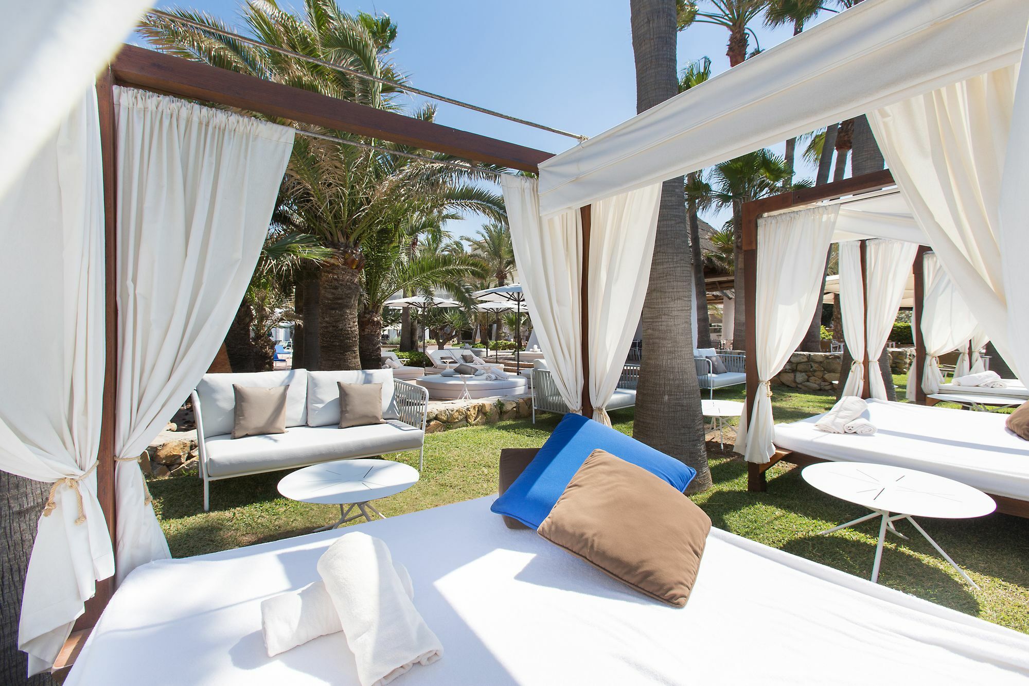 The Oasis By Don Carlos (adults Only)